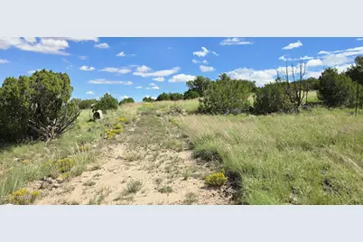 Tbd Cr 8624, Concho, AZ 85924 - Photo 40