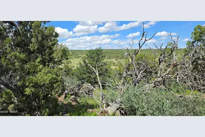 Tbd Cr 8624, Concho, AZ 85924 - Photo 20