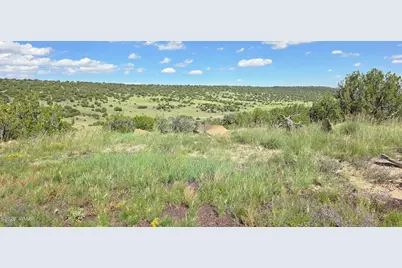 Tbd Cr 8624, Concho, AZ 85924 - Photo 32