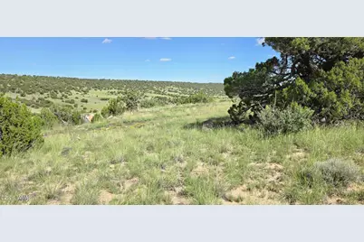 Tbd Cr 8624, Concho, AZ 85924 - Photo 8