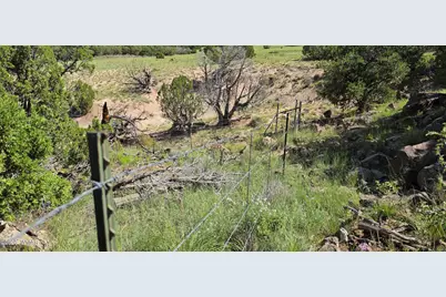 Tbd Cr 8624, Concho, AZ 85924 - Photo 14