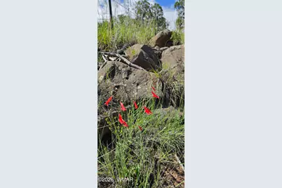 Tbd Cr 8624, Concho, AZ 85924 - Photo 18