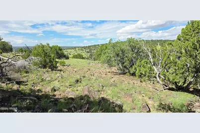 Tbd Cr 8624, Concho, AZ 85924 - Photo 26