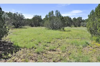 9184C Chimisa Ranch Rd, Show Low, AZ 85901 - Photo 8