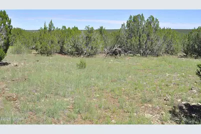 9184C Chimisa Ranch Rd, Show Low, AZ 85901 - Photo 4