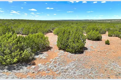 9184C Chimisa Ranch Rd, Show Low, AZ 85901 - Photo 10