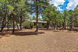 2172 Tenderfoot Trail, Overgaard, AZ 85933 - Photo 6
