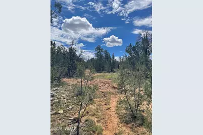 0001 Jeep Trail, Overgaard, AZ 85933 - Photo 2
