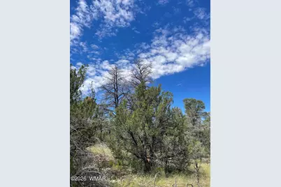 0001 Jeep Trail, Overgaard, AZ 85933 - Photo 4