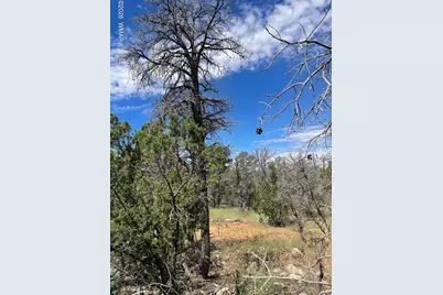 0001 Jeep Trail, Overgaard, AZ 85933 - Photo 1