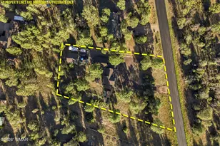 2224 Meadow Trail, Overgaard, AZ 85933 - Photo 42