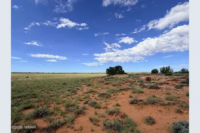 8017 Johnson Hill Trail, Snowflake, AZ 85937 - Photo 16