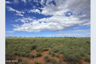 8017 Johnson Hill Trail, Snowflake, AZ 85937 - Photo 6