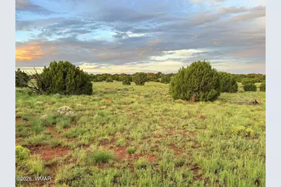 0 County Road 8623, Concho, AZ 85924 - Photo 16
