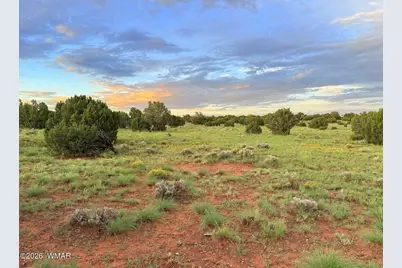 0 County Road 8623, Concho, AZ 85924 - Photo 18
