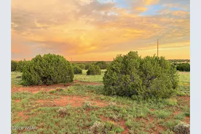 0 County Road 8623, Concho, AZ 85924 - Photo 22