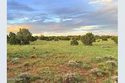 0 County Road 8623, Concho, AZ 85924 - Photo 20