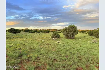 0 County Road 8623, Concho, AZ 85924 - Photo 24
