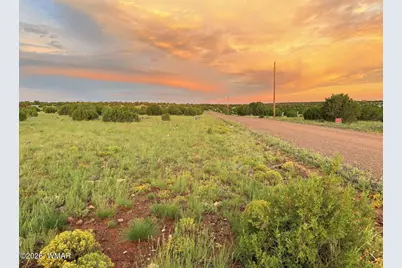 0 County Road 8623, Concho, AZ 85924 - Photo 14