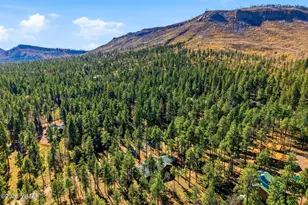 3 Creek, Alpine, AZ 85920 - Photo 36