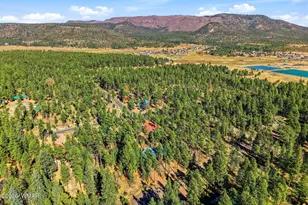 3 Creek, Alpine, AZ 85920 - Photo 34