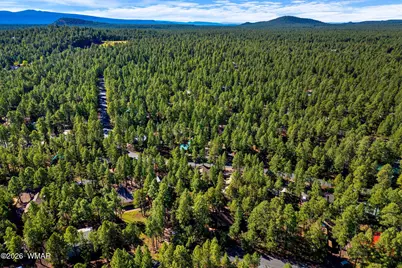 3233 Turkey Track Road, Pinetop, AZ 85935 - Photo 28