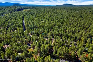 3233 Turkey Track Rd, Pinetop, AZ 85935 - Photo 28