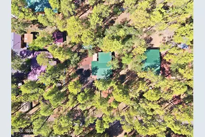 484 Lilly Drive, Lakeside, AZ 85929 - Photo 36