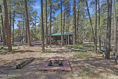 484 Lilly Drive, Lakeside, AZ 85929 - Photo 30