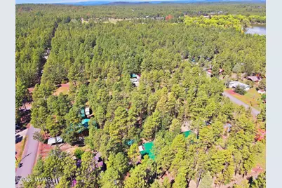 484 Lilly Drive, Lakeside, AZ 85929 - Photo 38