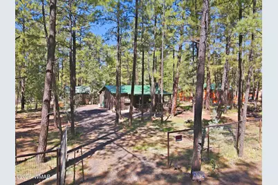 484 Lilly Drive, Lakeside, AZ 85929 - Photo 4