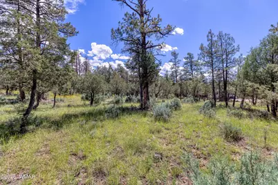 4807 Deer Valley, Lakeside, AZ 85929 - Photo 36