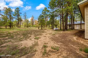 2840 Pine Rim Rd, Overgaard, AZ 85933 - Photo 32