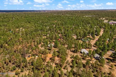 2840 Pine Rim Road, Overgaard, AZ 85933 - Photo 38