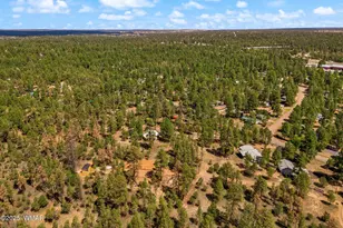 2840 Pine Rim Rd, Overgaard, AZ 85933 - Photo 38