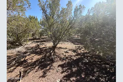 Lot 200 County Road 3189, Vernon, AZ 85940 - Photo 2