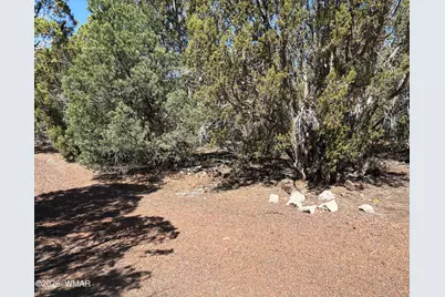 Lot 200 County Road 3189, Vernon, AZ 85940 - Photo 6