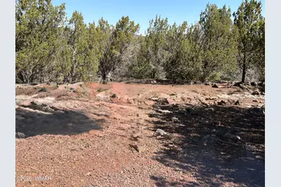 Lot 200 County Road 3189, Vernon, AZ 85940 - Photo 4