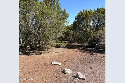 Lot 200 County Road 3189, Vernon, AZ 85940 - Photo 1