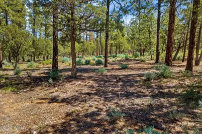 21249-040E Vallery Lane, Lakeside, AZ 85929 - Photo 2