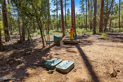 21249-040E Vallery Lane, Lakeside, AZ 85929 - Photo 4