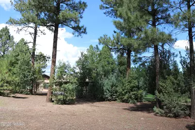 960 S Spirea Lane, Show Low, AZ 85901 - Photo 38