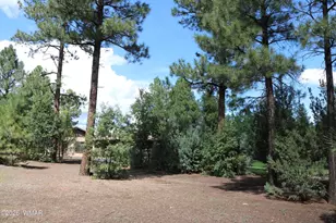 960 S Spirea Ln, Show Low, AZ 85901 - Photo 38