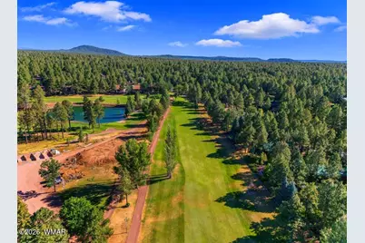 4273 Branding Iron Loop, Pinetop, AZ 85935 - Photo 122