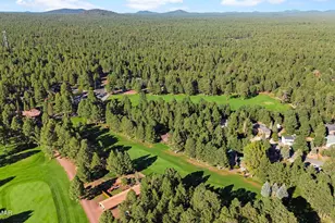 3162 Viking Trail, Pinetop, AZ 85935 - Photo 64