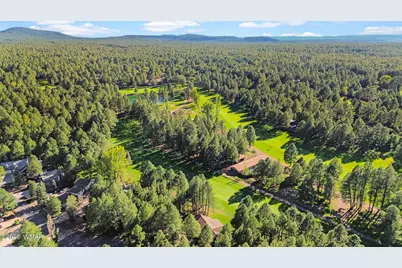 3162 Viking Trail, Pinetop, AZ 85935 - Photo 66