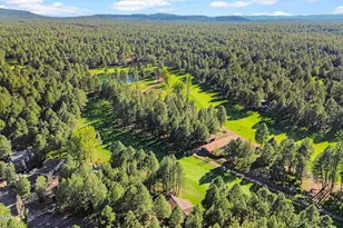 3162 Viking Trail, Pinetop, AZ 85935 - Photo 66