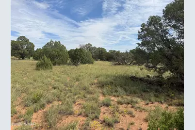 86 N5535 Road, Concho, AZ 85924 - Photo 12