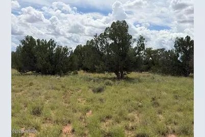 86 N5535 Road, Concho, AZ 85924 - Photo 2