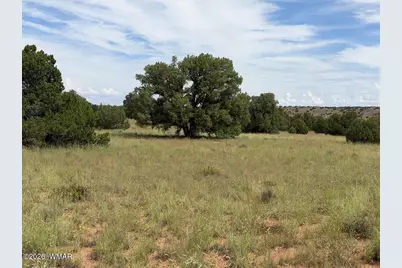 86 N5535 Road, Concho, AZ 85924 - Photo 4